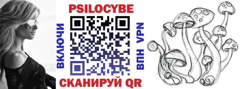 блэк спрут сайт  Грязи  Псилоцибиновые грибы GOLDEN TEACHER 